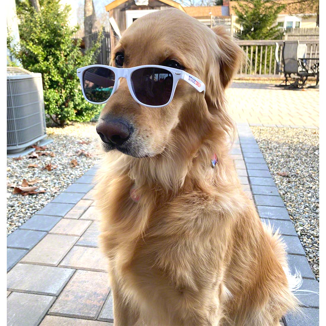 FREE GIFT: StageDrop Sunglasses! 
